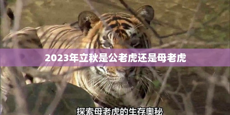 “别害怕别放手”是哪首歌里的歌词