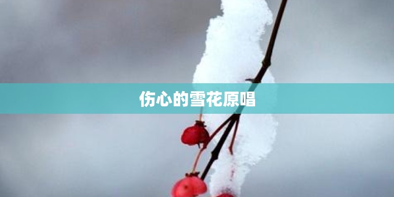 你慢些走别回头是什么歌