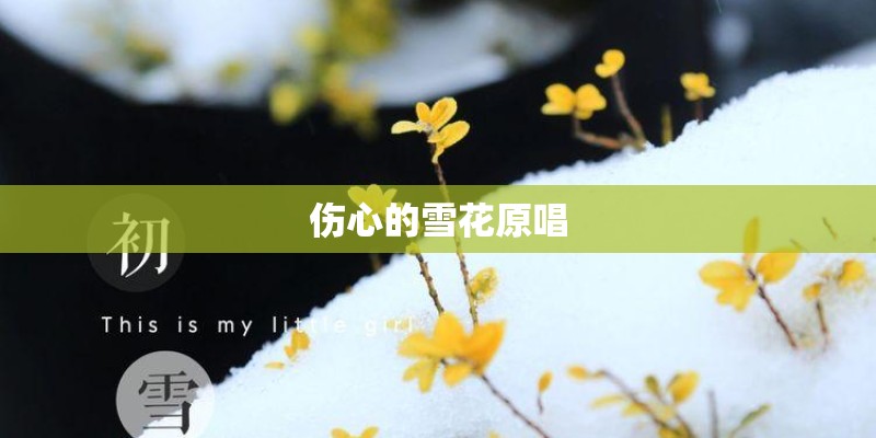 伤心的雪花原唱 伤心的雪花原唱