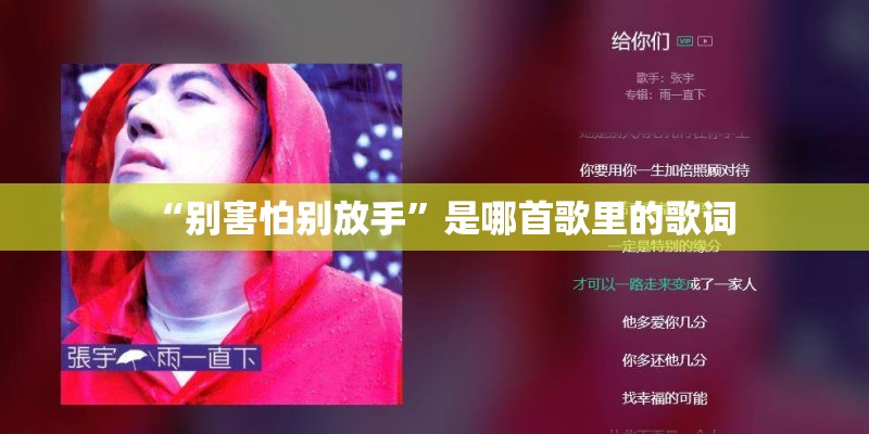 “别害怕别放手”是哪首歌里的歌词