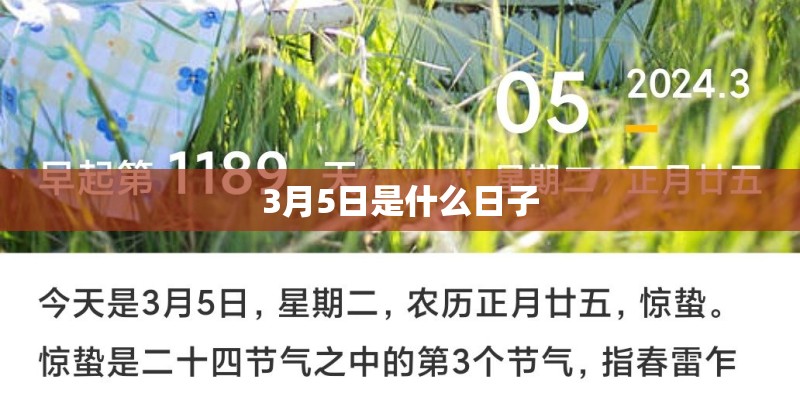 你慢些走别回头是什么歌
