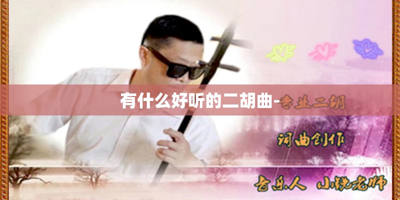 有什么好听的二胡曲-