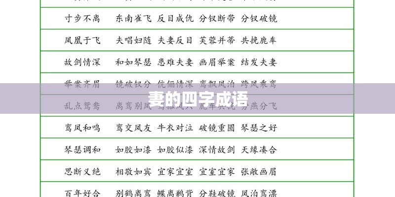 妻的四字成语