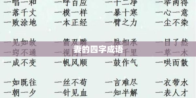 妻的四字成语
