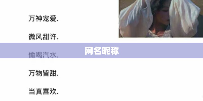 网名昵称