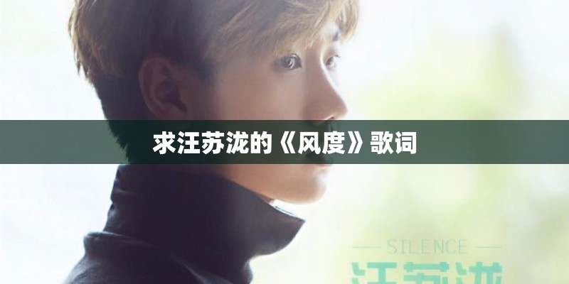 求汪苏泷的《风度》歌词