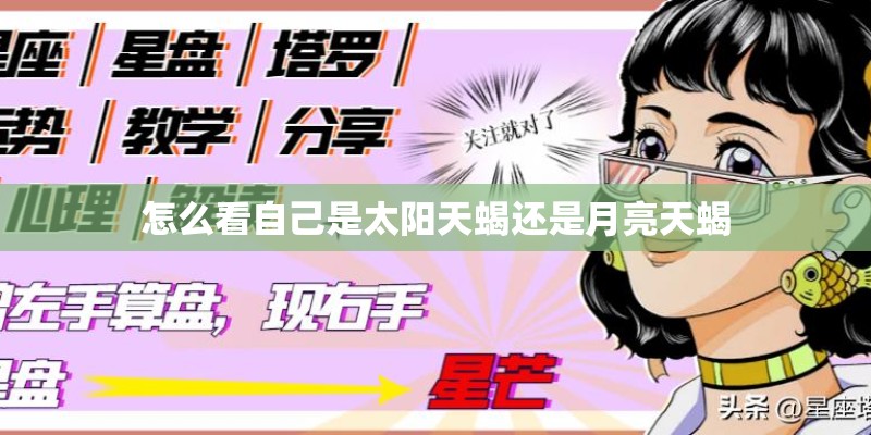 天蝎座最适合配对的第一名