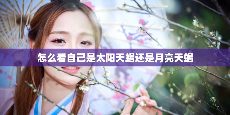 怎么看自己是太阳天蝎还是月亮天蝎