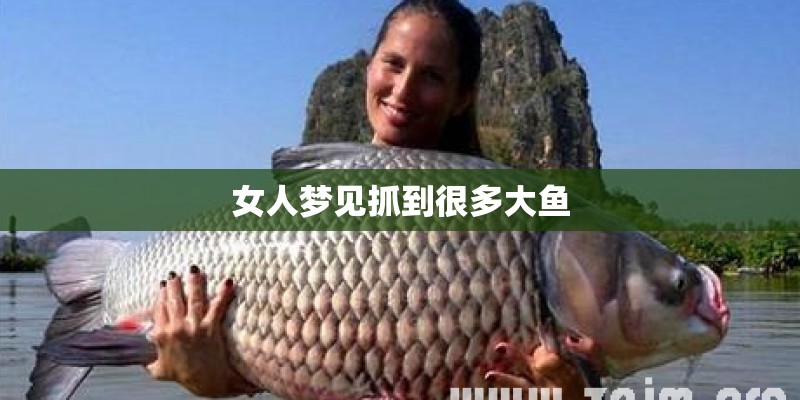 女人梦见抓到很多大鱼 女人梦见抓到很多大鱼