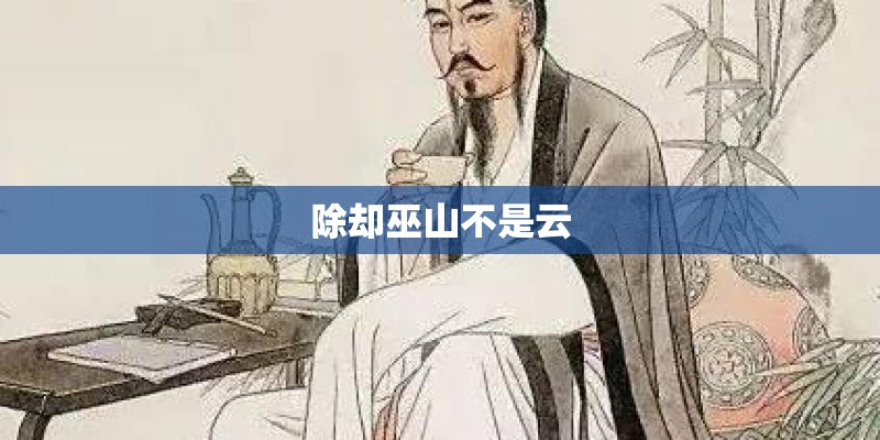 除却巫山不是云