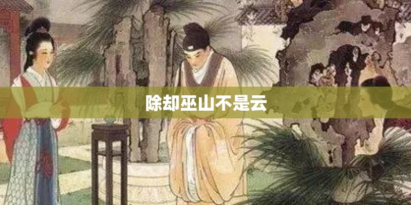 除却巫山不是云