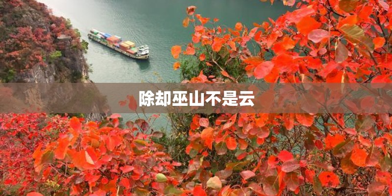 除却巫山不是云