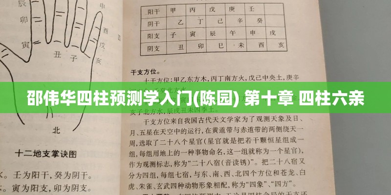 邵伟华四柱预测学入门(陈园) 第十章 四柱六亲
