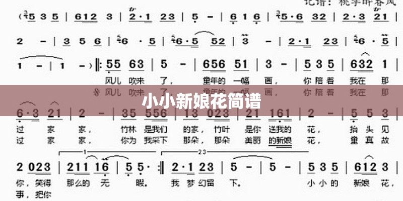 小小新娘花简谱