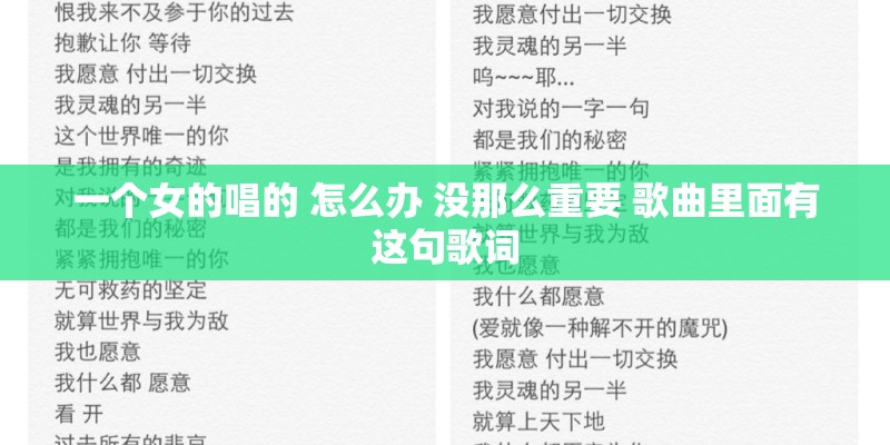 一个女的唱的 怎么办 没那么重要 歌曲里面有这句歌词