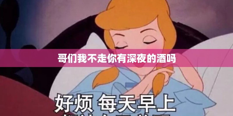 哥们我不走你有深夜的酒吗