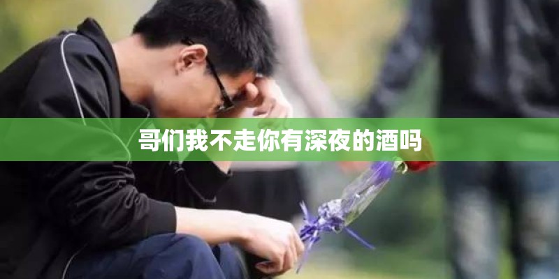 哥们我不走你有深夜的酒吗