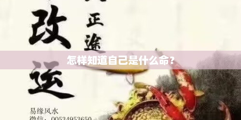 怎样知道自己是什么命？