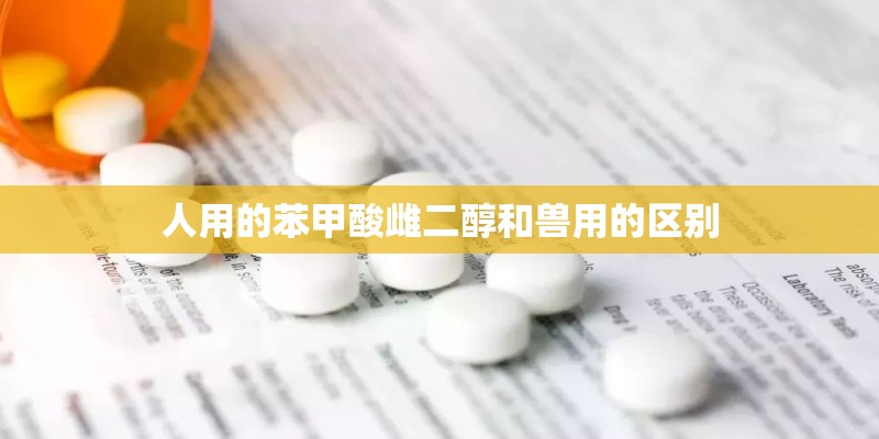 目前比较火的喊麦词