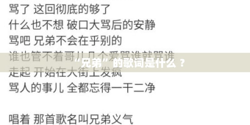 “兄弟”的歌词是什么 ？