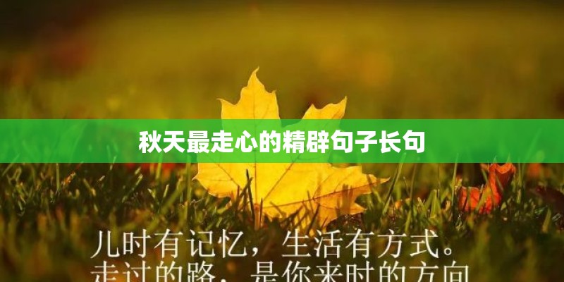 秋天最走心的精辟句子长句 秋天最走心的精辟句子长句