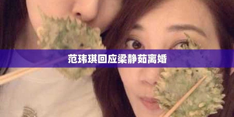 范玮琪回应梁静茹离婚
