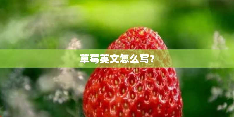 刘德华一共唱过多少经典老歌？