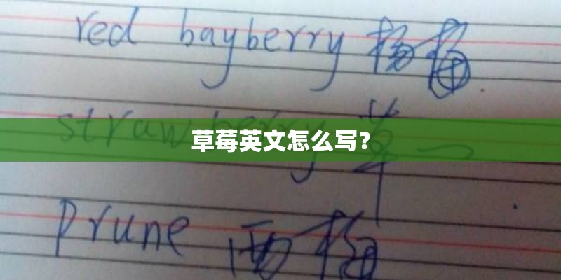 草莓英文怎么写? 草莓英文怎么写?