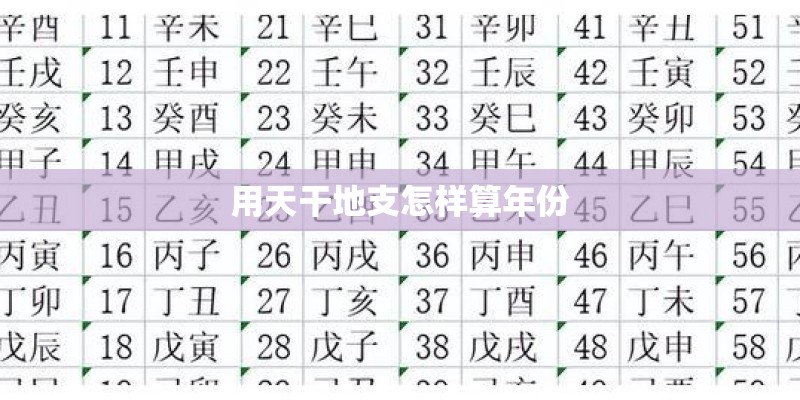 草莓英文怎么写？