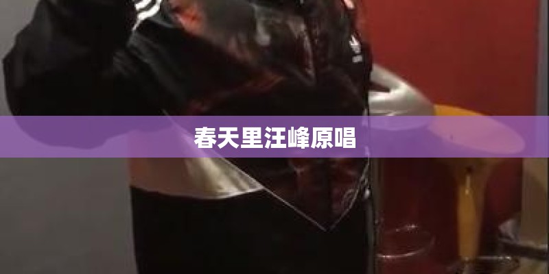 春天里汪峰原唱 春天里汪峰原唱
