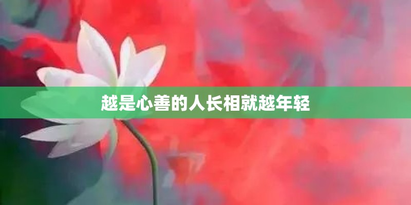 命中有几个孩子查询表免费 测测自己会有几个子女