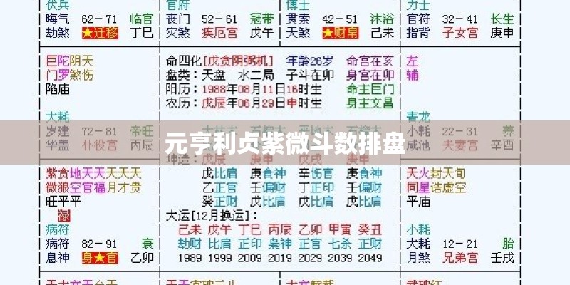 元亨利贞紫微斗数排盘