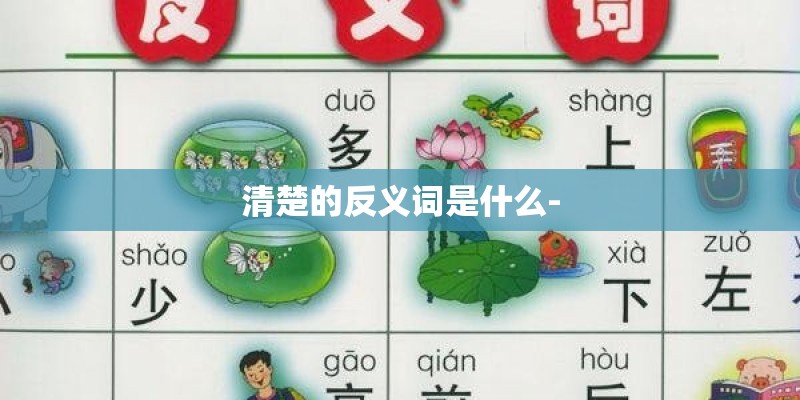 清楚的反义词是什么-