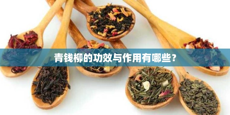 青钱柳的功效与作用有哪些? 青钱柳的功效与作用有哪些?